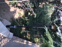 iphone_upload_pic-观象山公园