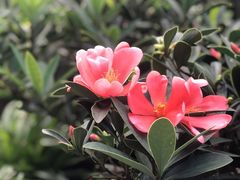 -The V泽惟·低温慢煮料理