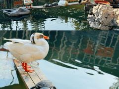-龙华寺