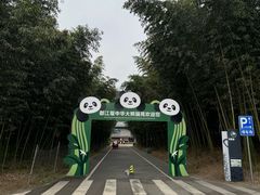 -都江堰中华大熊猫苑