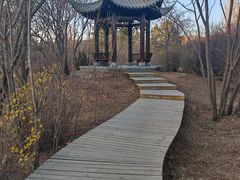 -阿尔丁植物园