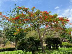 -三亚南山文化旅游区