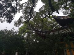 -阿育王寺