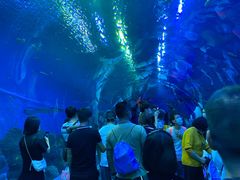 -成都浩海立方海洋公园