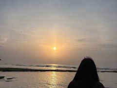-贝壳沙滩