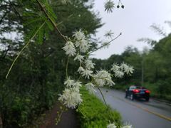 -深圳东部华侨城茵特拉根酒店