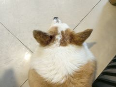 -平行世界·猫咖(首经贸店)