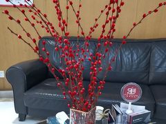 -雅悦齿科(顾村公园店)