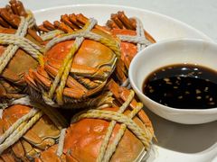 -杨氏青龙虾·羊蝎子(金盛路总店)
