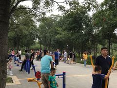 -回龙观体育文化公园