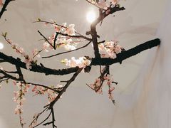 -蜜桃餐厅·伴山(绿宝广场店)