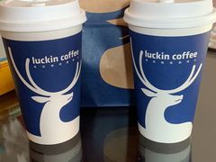 -luckincoffee瑞幸咖啡(东方都会大厦店)