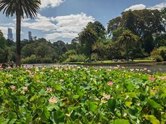 -墨尔本皇家植物园