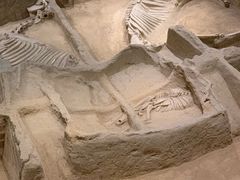 -洛阳周王城天子驾六博物馆