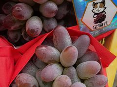 -马陆小张葡萄园农家乐