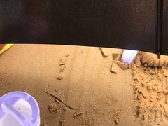 -青岛银沙滩温德姆至尊酒店