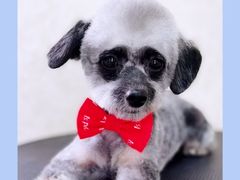 -乐琪宠物(青塔西路店)