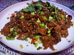 -巴特餐饮6加1音乐餐吧·新疆菜