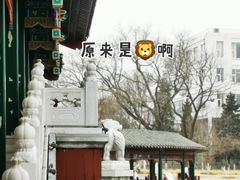 -西海子公园