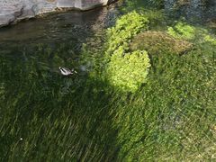 -水磨沟公园