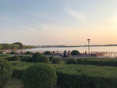 -丁香湖公园