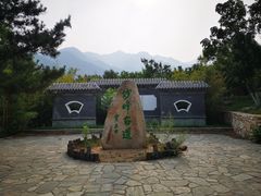 -阳台山自然风景区