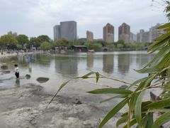 -大宁公园