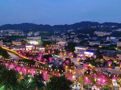-枇杷园食为鲜火锅(南山店)