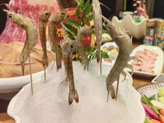 -尚海豆捞(乐虹坊店)