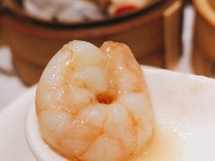 -老广新意(奥园店)