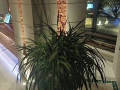 -浅深Cheersum(曹杨店)
