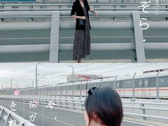 -海堤纪念公园