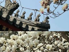 -天坛公园