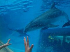 -波塞冬旅游度假区