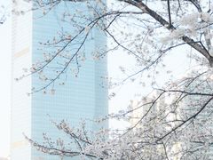 -西北湖绿化广场