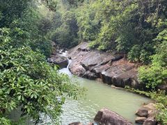 -广州白江湖森林公园