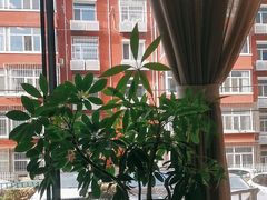 -峨嵋酒家(牡丹园店)