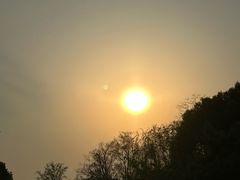 -蜀冈西峰生态公园