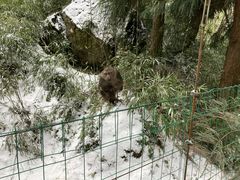 -九峰山