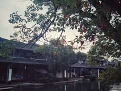 -黎里古镇