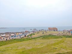 -小麦岛公园