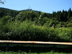-武陵山森林公园
