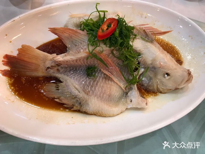 江南菜馆(东晓路店)清蒸红雕鱼图片 - 第220张