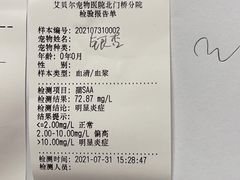 -艾贝尔宠物医院 ·中兽医·宠保定点(北门桥店)