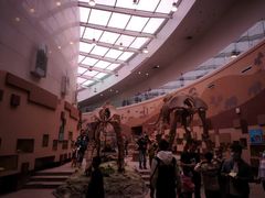 -陕西自然博物馆