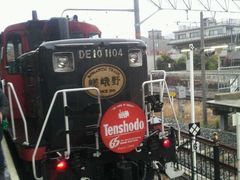 -岚山嵯峨野观光小火车