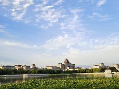 -莲花池公园