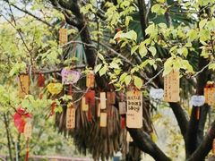 -南京老山国家森林公园