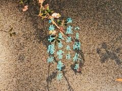 -望湘园·洞庭渔宴(浦江欢乐颂店)