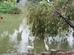 -人民公园(罗湖区)